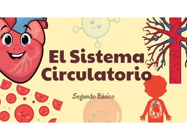Sistema circulatorio