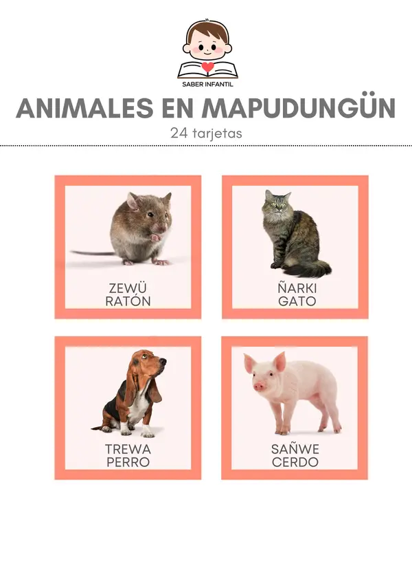 Premium Poster 