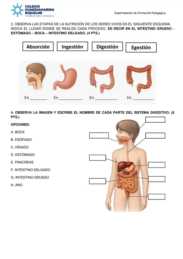  Evaluación de Cs Naturales (A.C) 