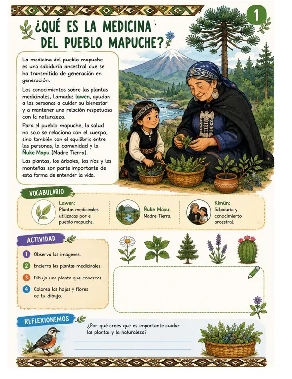 Medicina Mapuche 