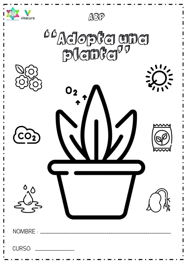 Cuadernillo ABP "La importancia de las plantas"