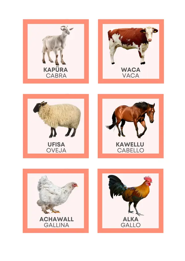 ANIMALES EN MAPUDUNGÜN | profe.social