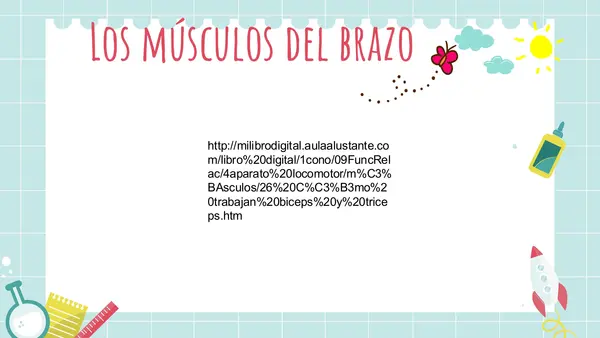 Modelo simple del movimiento del brazo 2° básico