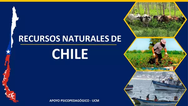 ZONAS NATURALES DE CHILE 