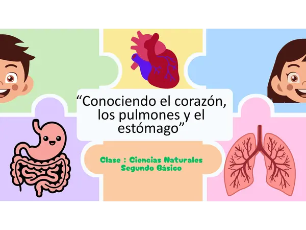 Presentación "Conociendo el corazón, los pulmones y el estómago" Ciencias
