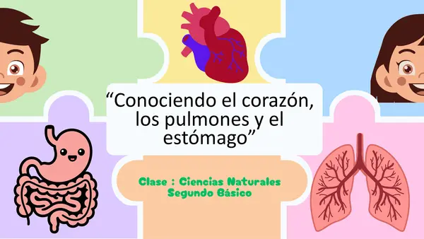Presentación "Conociendo el corazón, los pulmones y el estómago" Ciencias
