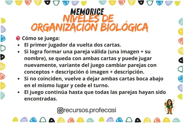 MEMORICE NIVELES DE ORGANIZACIÓN BIOLÓGICA DE LOS SERES VIVOS