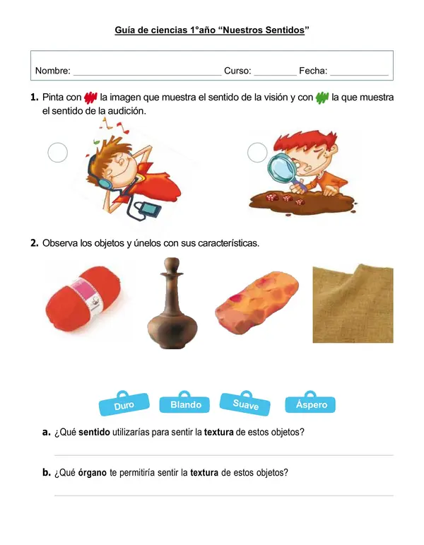 Guía de ciencias "Nuestros sentidos"
