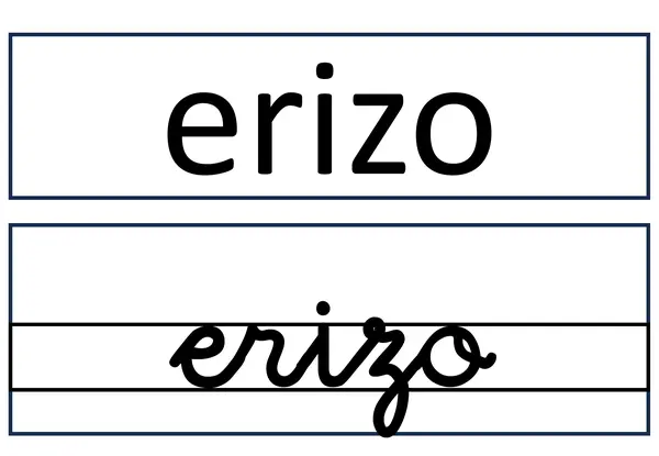 BITS DE LECTURA 3 - ERIZO ELÍAS