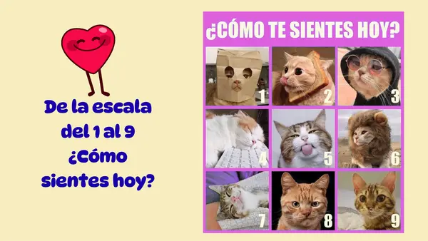 Presentación clase de matemática de Longitud