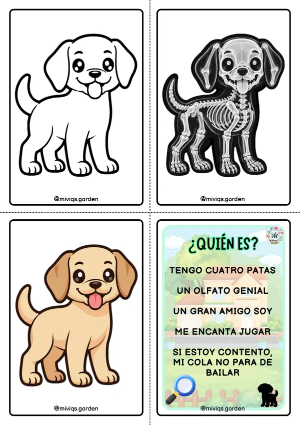 Proyecto Radiografías: Animales Domésticos