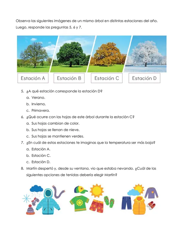 Evaluación: Tiempo Atmosférico