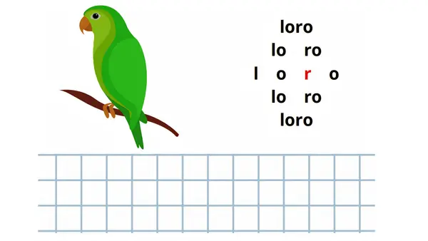 PRIMER DÍA LECCIÓN LORO 