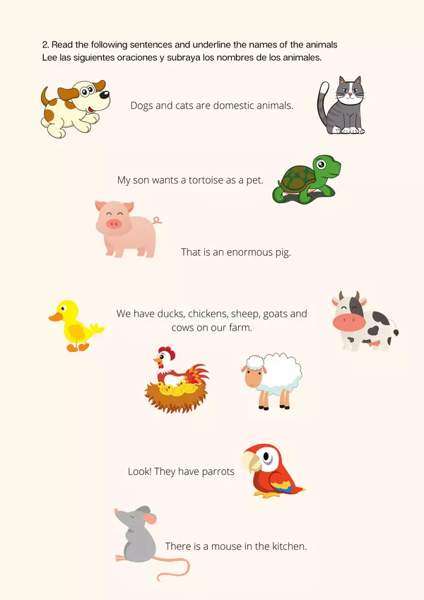Los animales en inglés