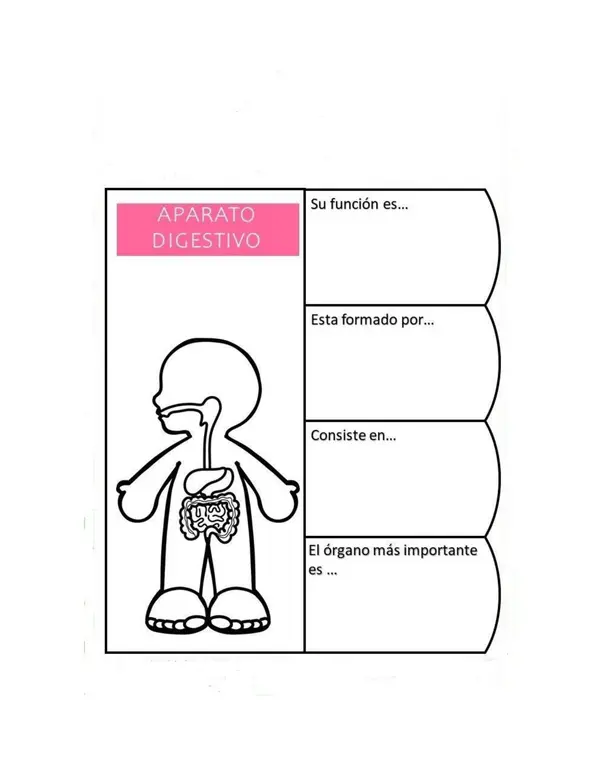 GUÍA DIFERENCIADA DE CIENCIAS NATURALES