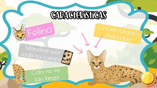 Disertación El gato Serval