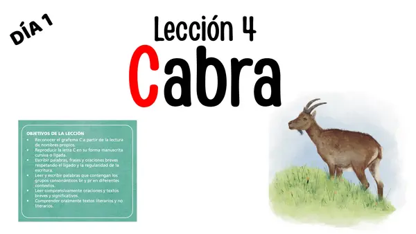 Cabra lección 4 Parte 2 Método Matte