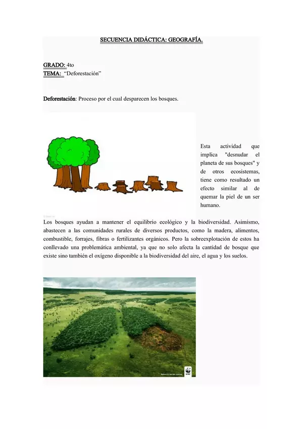 Deforestación (Ciencias Sociales)