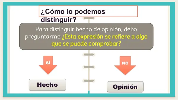 Hecho y opinión 