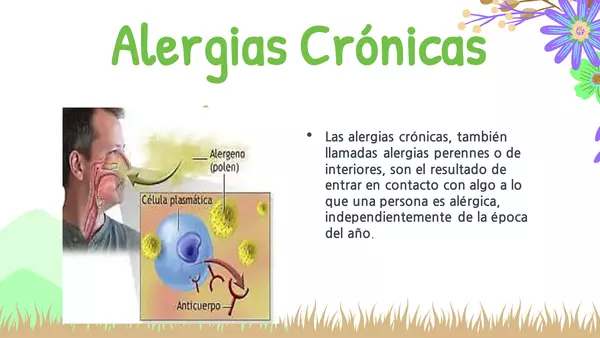 Alergias comunes 