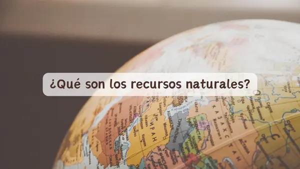 Los recursos naturales | Cuarto Básico