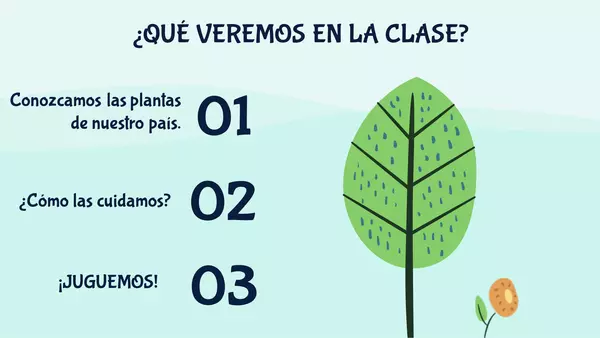 CLASES DE LA FLORA DE CHILE