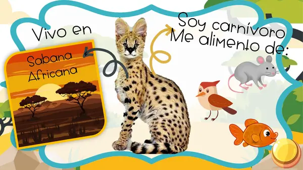 Disertación El gato Serval