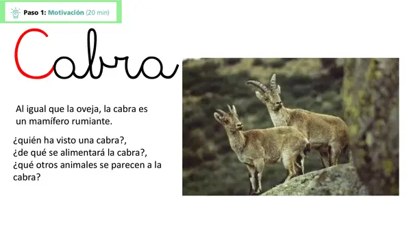 Cabra lección 4 Parte 2 Método Matte