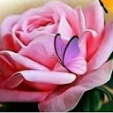 Elodia Almanza - @elodia.almanza