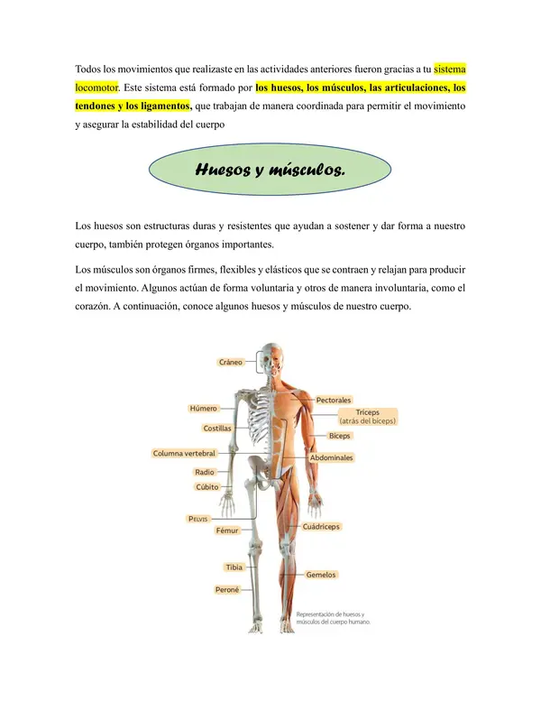 Contenido Ciencias Parte 1