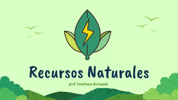 RECURSOS NATURALES DE CHILE