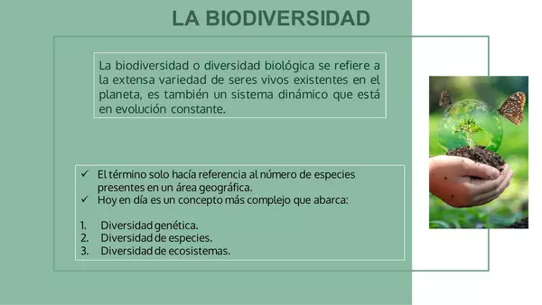 Evolución y biodiversidad