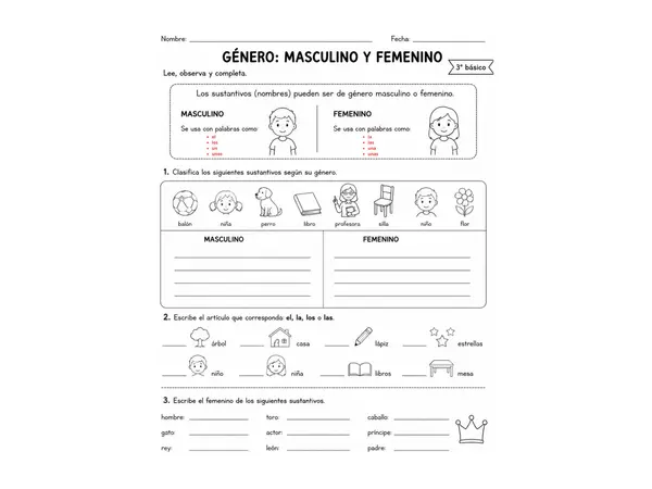 Guía de género femenino y masculino