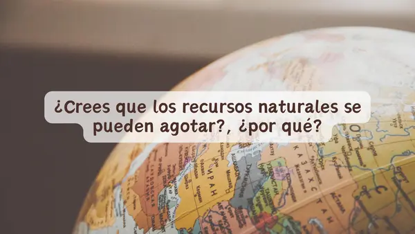 Los recursos naturales | Cuarto Básico