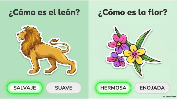 La descripción 