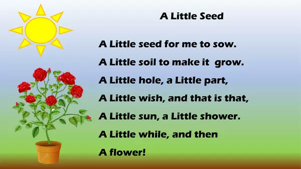 POEM A LITTLE SEED