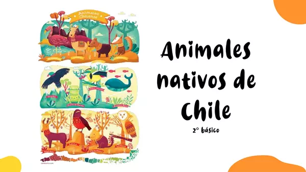 Animales nativos en peligro de extinción chilenos (2° parte)