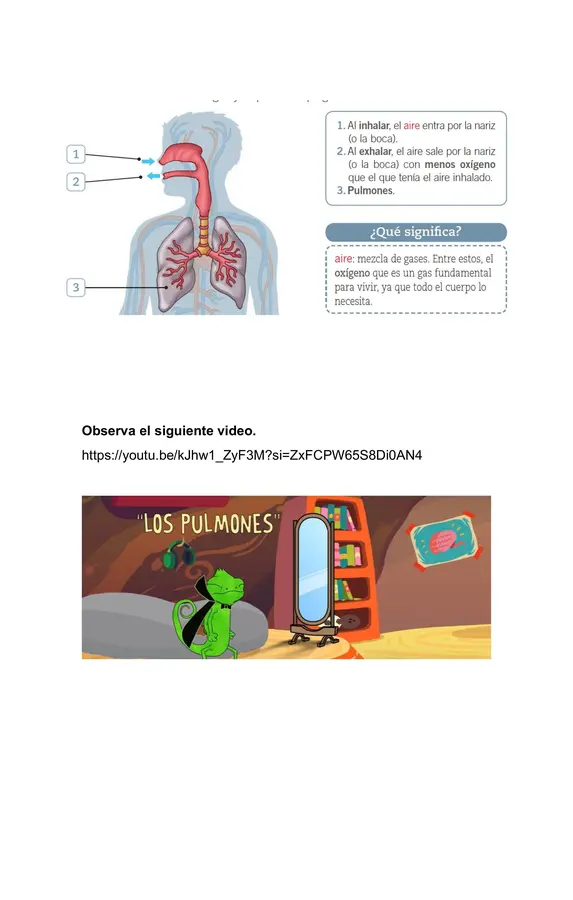 Guía Corazón, pulmones y estómago 2° Básico
