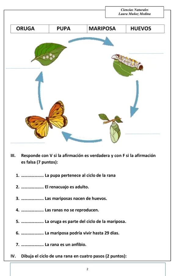 Evaluación de ciencias, ciclo de los animales rana y mariposa