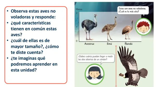 Clase 1 y 2 Capítulo 5 Unidad 2 Longitud "Como Comparar" 2° Básico