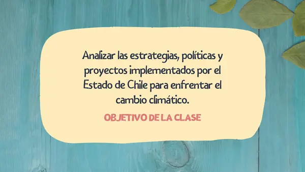 El Estado de Chile y el cambio climático
