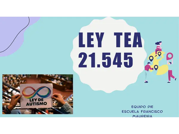 Ley TEA