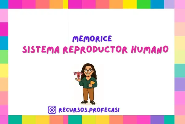 MEMORICE SISTEMA REPRODUCTOR HUMANO
