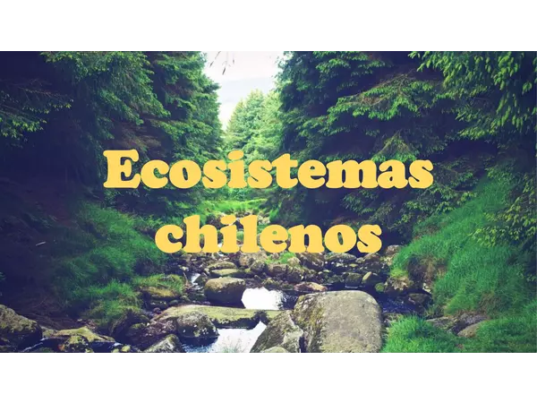Intervención de las personas en ecosistemas chilenos