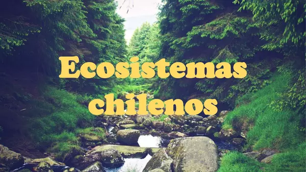 Intervención de las personas en ecosistemas chilenos