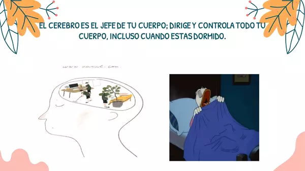 EL CEREBRO