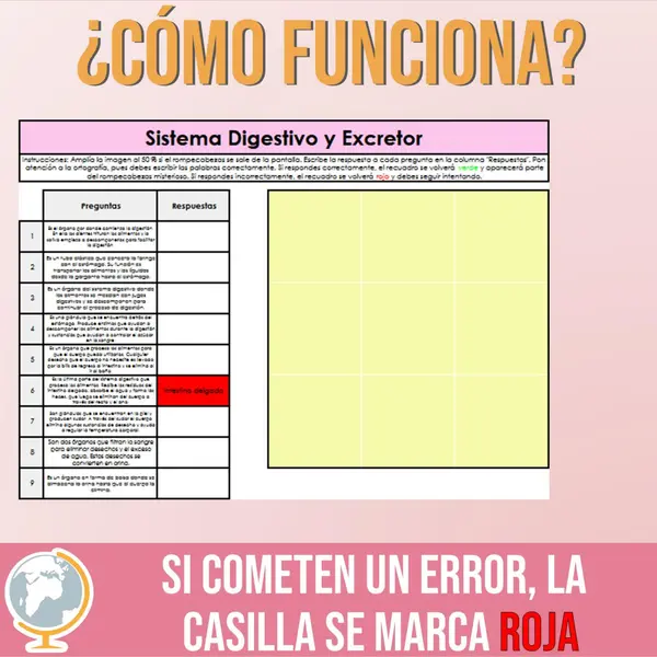 Sistema digestivo y excretor rompecabezas misterioso