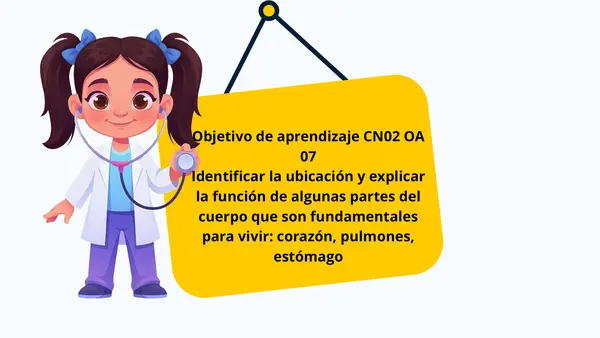 Presentación "Conociendo el corazón, los pulmones y el estómago" Ciencias