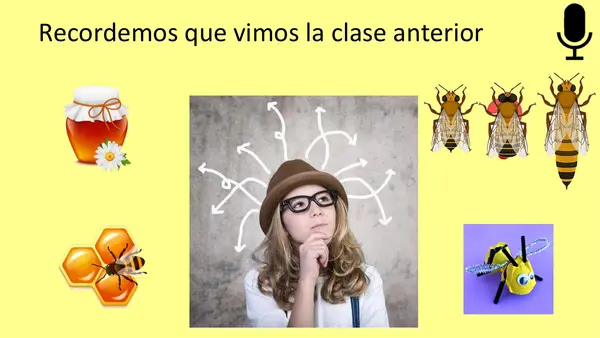 La Abeja Haragana. Clase N°2. Profundización en las abejas
