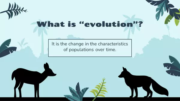 PPT Evidences of Evolution